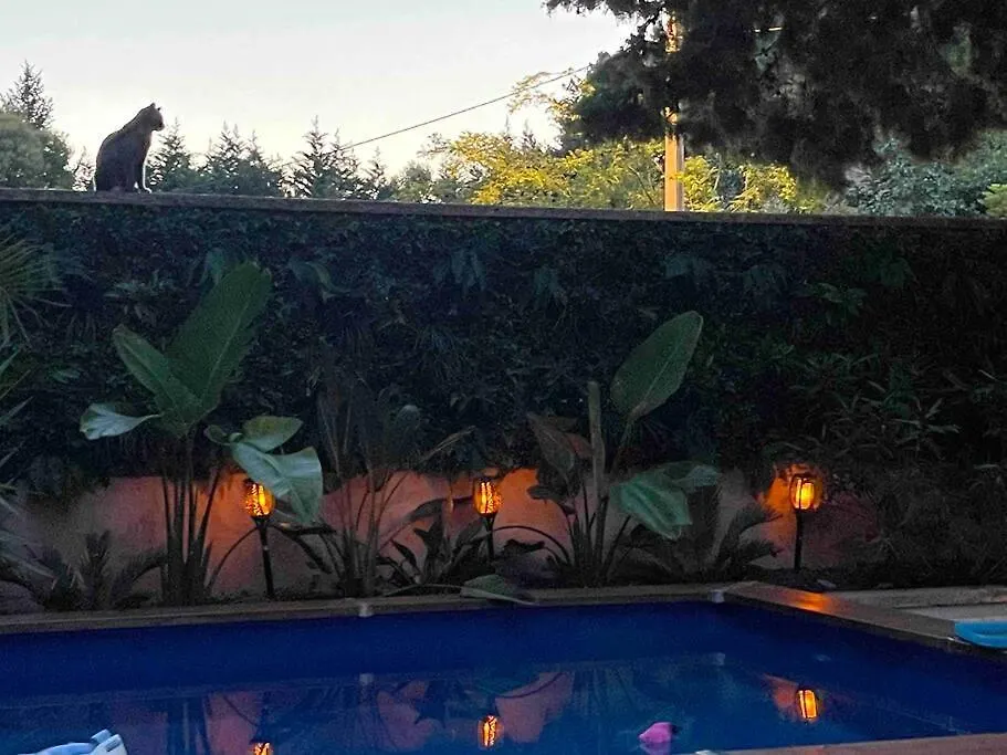 Maison De Charme Avec Piscine En Ville Avignon France