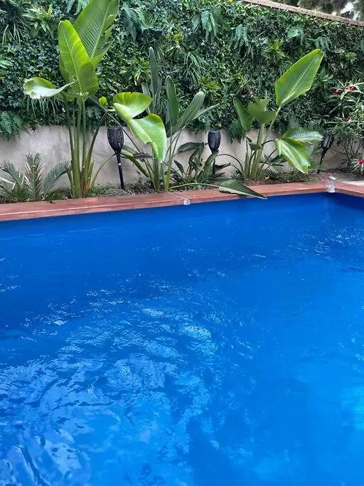 Maison De Charme Avec Piscine En Ville Avignon 0*,